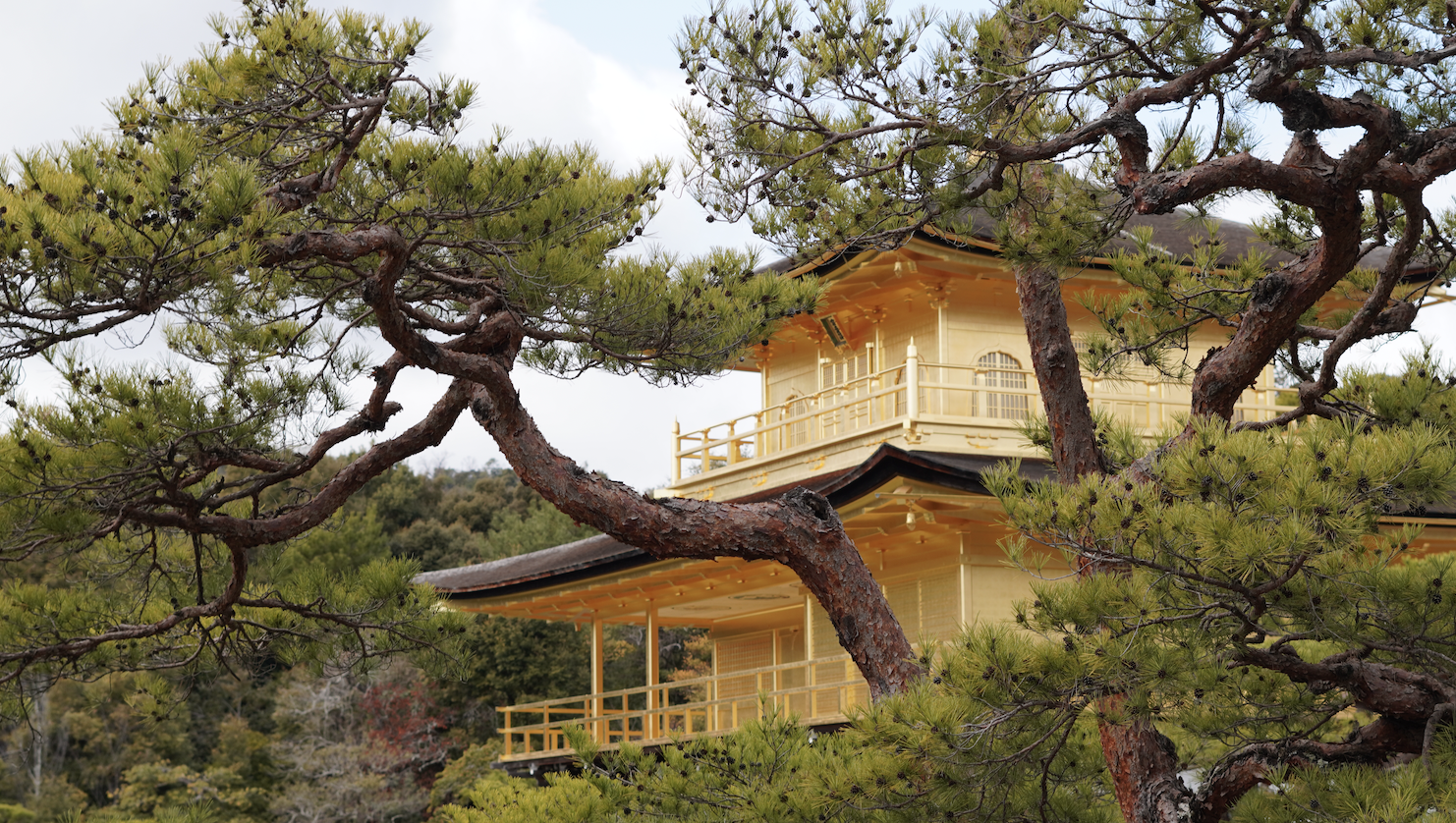 Japanese Design Principles